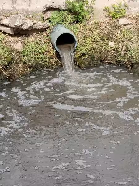 que-significa-sonar-con-aguas-negras-de-drenaje