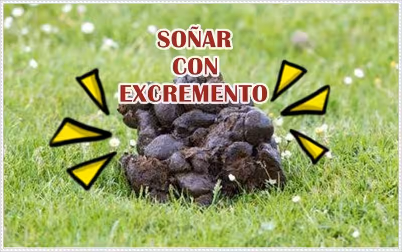 que-significa-sonar-con-excremento-en-las-manos