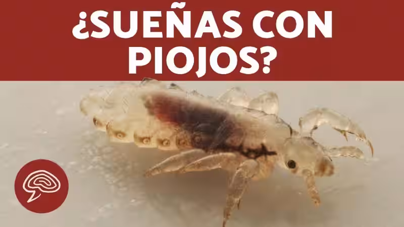 que-significa-sonar-que-tienes-piojos-y-los-matas